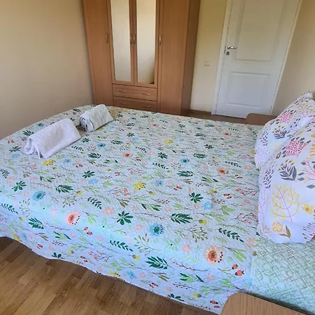 Cozy Oasis Of Light In Daire Palanga