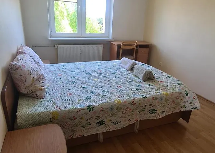 Cozy Oasis Of Light In アパート *