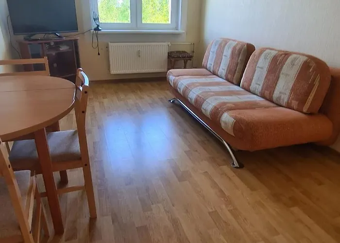 Cozy Oasis Of Light In アパート